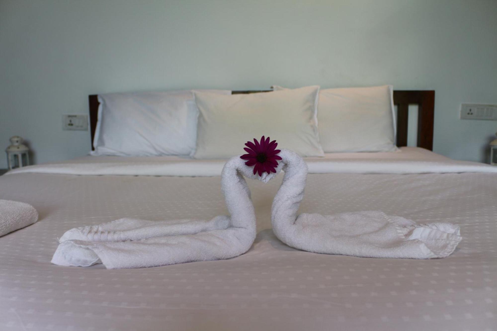 Logan Camp Ooty Hotel Coonoor Kültér fotó