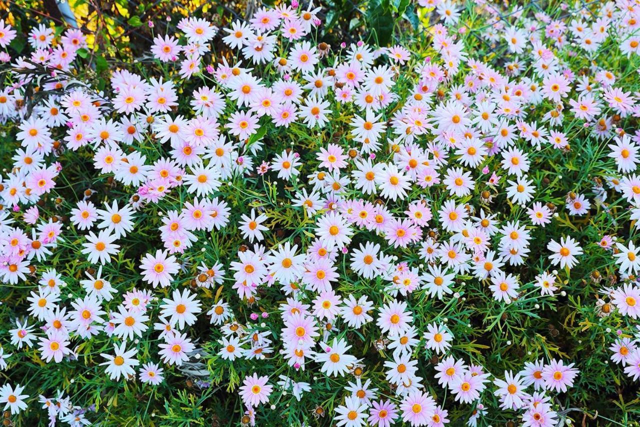 Logan Camp Ooty Hotel Coonoor Kültér fotó