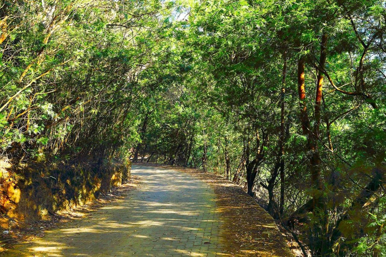 Logan Camp Ooty Hotel Coonoor Kültér fotó